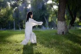 太极拳前进太极步的练法图片