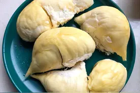 买榴莲时,5招挑出“母榴莲”，皮薄肉多，软糯香甜，不花冤枉钱图片