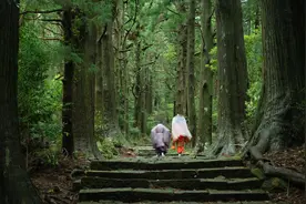 这条日本网红古道，把《夏目友人帐》的神灵一网打尽图片