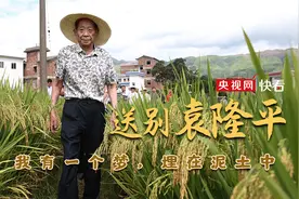 送别袁隆平——我有一个梦，埋在泥土中图片