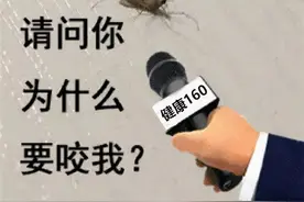 为什么你总被蚊子叮上？学会这些招，蚊子转身咬别人图片