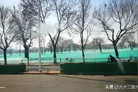 天津红桥，西于庄地区拆迁改造后景象，西于庄森林公园图片