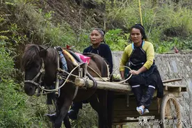 为什么江浙地区的男人，不乐意娶云贵川的女人？图片