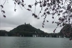 二则故事，看懂了你将如虎添翼图片
