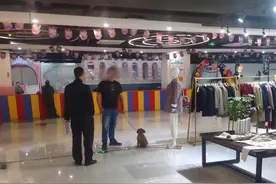 携犬入商场 罚款图片