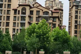 房子都卖给谁了图片