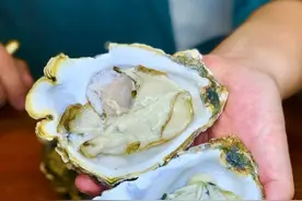 长春有这样一种馆子。作为吃货，若不吃一次，就是一种遗憾图片
