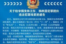 海南警方发布：关于检举揭发林卫东、杨树昌犯罪团伙违法犯罪线索的通告图片