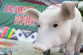 民进党还怕什么？图片
