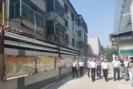 高陵 | 文明花开关中“白菜心”图片