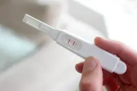 孕期经常犯困怀的就是女孩，不爱犯困怀的是男孩？专家给出答案图片