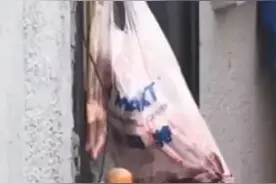流浪猫被轧死，大爷剥皮带回家吃掉还怼喂养者：猪肉你为什么吃？图片
