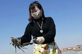 滞留塞尔维亚，东北大姐到农场打工糊口，每天干活12小时图片