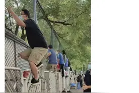 热搜第一！妈趴窗，爹爬墙，今天神兽归笼，朋友圈像过年图片