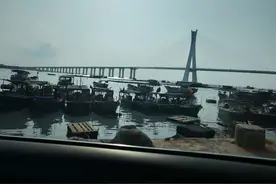 海南文昌铺前大桥海水退潮，仅用半小时就捡到几十斤海货图片