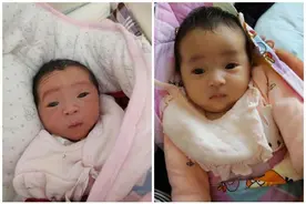 生下丑娃别嫌弃，先养养，没准过段时间就长开了，颜值堪比换头图片