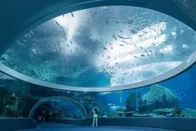 大海里全是水，海底隧道是如何修建完成的呢？网友：真的不容易图片