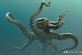 地球上十大奇异独特的动物，你见过吗？（二）图片