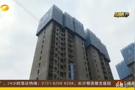 明年交付！732套！长沙这些政策真让人羡慕图片