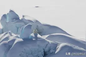 北极“最后一块冰区”融化，南极洲18.3℃刷新记录，地球怎么了？图片