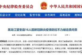 望奎问责16人！今年前20天这些人因疫情防控受到处理图片