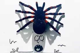 玩的就是创意！他在影子上画几笔，就画出一幅极其有趣的画图片