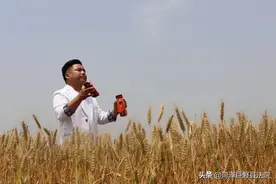 巨野县文艺志愿服务队：麦收唱段莲花落 “三夏”防火最重要图片