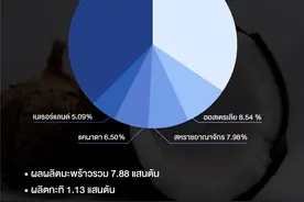 2019年泰国椰浆出口居世界第一图片