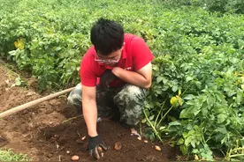 我的老公很棒图片