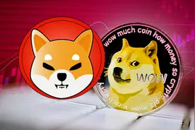 狗狗币百万富翁：柴犬币未来几周将大跌，无法与狗狗币竞争！狗狗币更适合成数字美元图片
