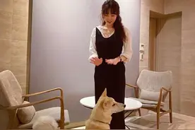泫雅与狗狗互动温馨有爱，着黑色连衣裙好似邻家女孩图片