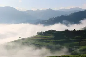 诗词鉴赏丨《诏问山中何所有赋诗以答》· 梁 · 陶弘景图片