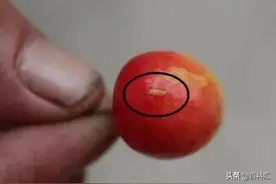 爬满寄生虫的4种水果，食用之前一定要清洗干净图片