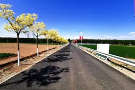 人居环境整治让这个村成为武清区豆张庄镇的“明星村”图片