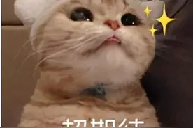 如何在陌生的城市交到新朋友图片