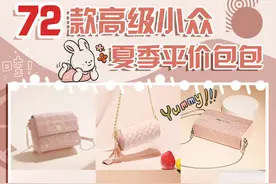 72款高级小众包包｜夏季百搭平价款图片