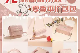 72款高级小众包包｜夏季百搭平价款图片