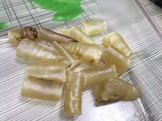 花胶果冻能否放水果吃 2026年花胶果冻能否放水果吃一下 花胶果冻能否放水果吃 2026年花胶果冻能否放水果吃一下