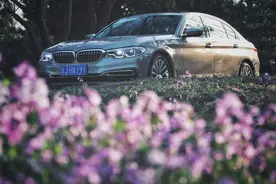 家用行政级——BMW 525Li图片
