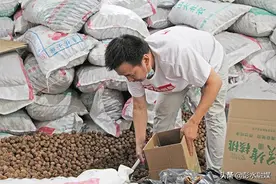 小核桃撬动大市场图片