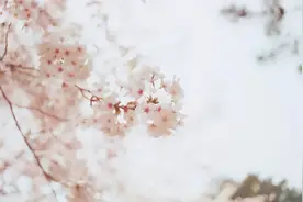 高考日语干货：日语形容词详细讲解，速看图片