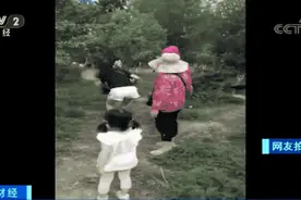 愤怒！游客死死按住孔雀合影，还抓扯尾羽！孔雀惨叫连连图片