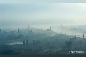 武汉丨大疫之后的5月图片