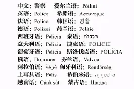 各国「警察」都干啥？分工不同也是警察？图片