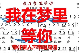 热门动听情歌，风语的《我在梦里等你》有声简谱版，经典老歌视频封面