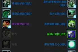 魔兽世界怀旧服，盗贼自然抗筹备，现阶段+P5开始图片