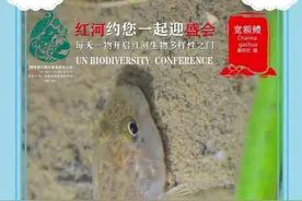 相约COP15 | 每天开启红河生物多样性之门图片