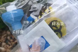 记者实地体验核酸检测：上海检测费用240元/人，部分医院或机构对武汉入沪人员有优惠图片