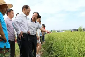 为什么现在一些蔬菜种子标有“不得留种”的字样？看后就明白了图片