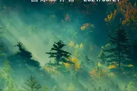 森林恢复，是人类一项永恒的叙事图片